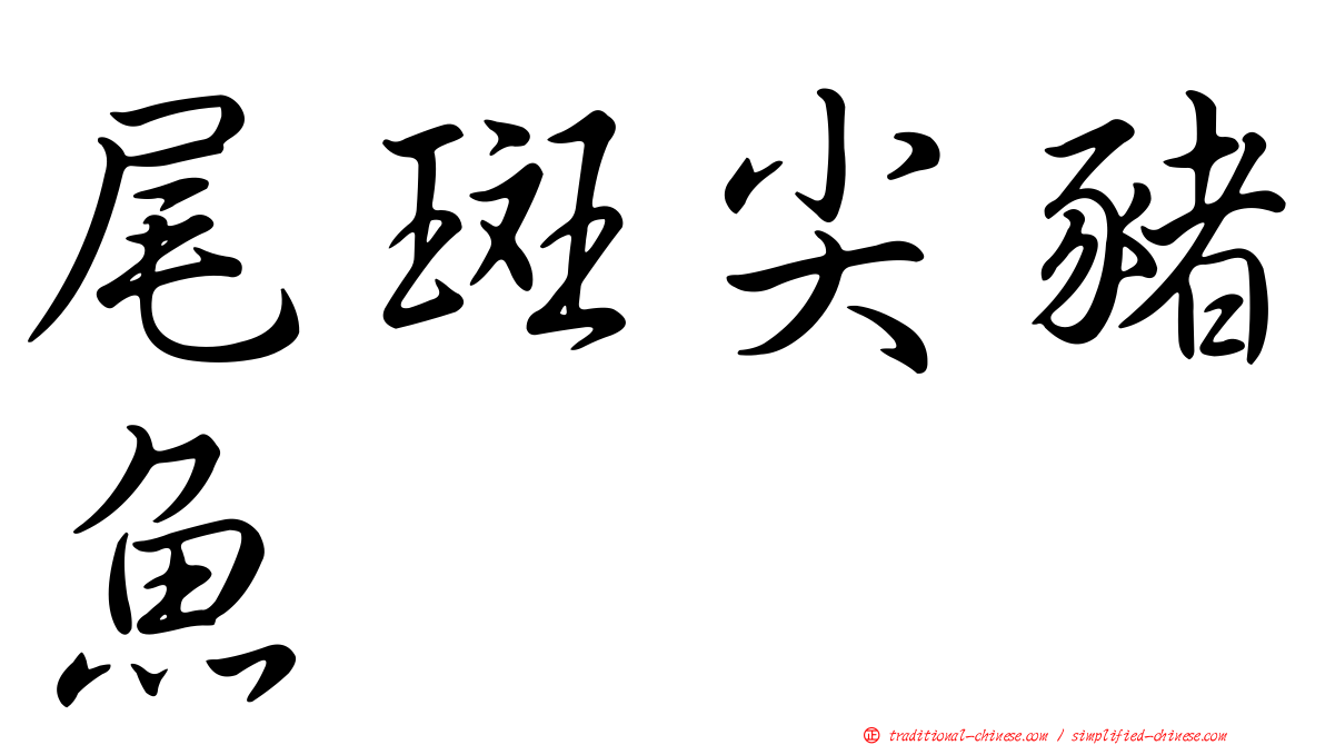 尾斑尖豬魚