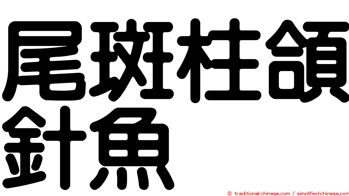 尾斑柱頜針魚