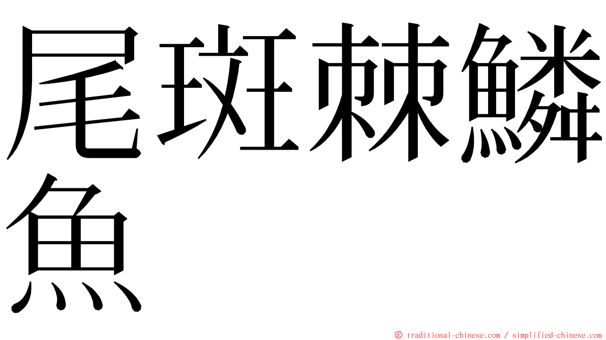尾斑棘鱗魚 ming font