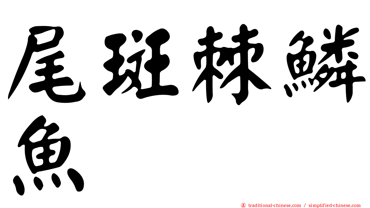 尾斑棘鱗魚