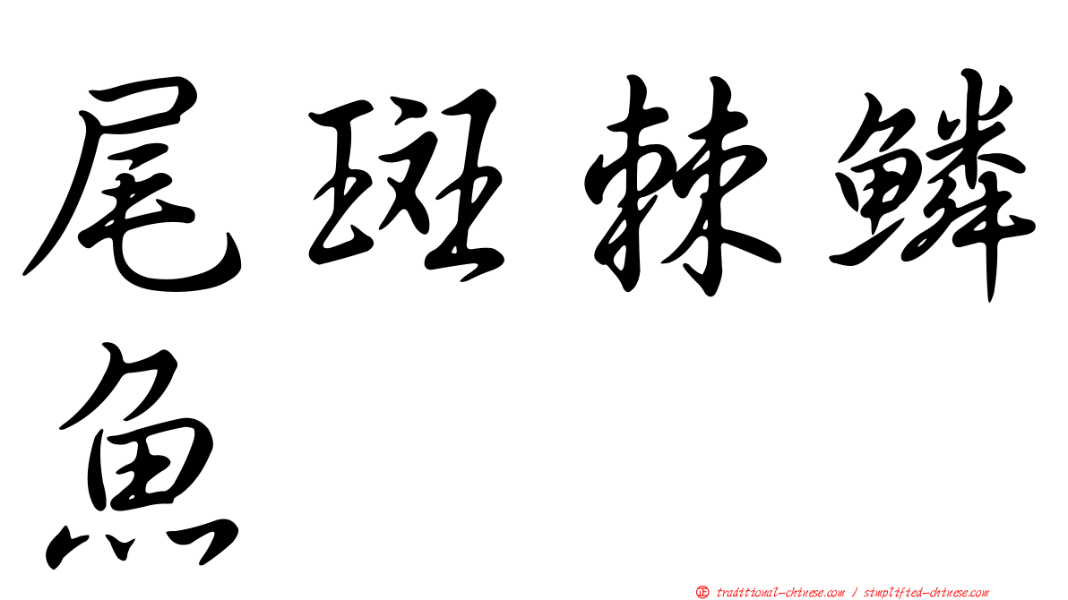 尾斑棘鱗魚