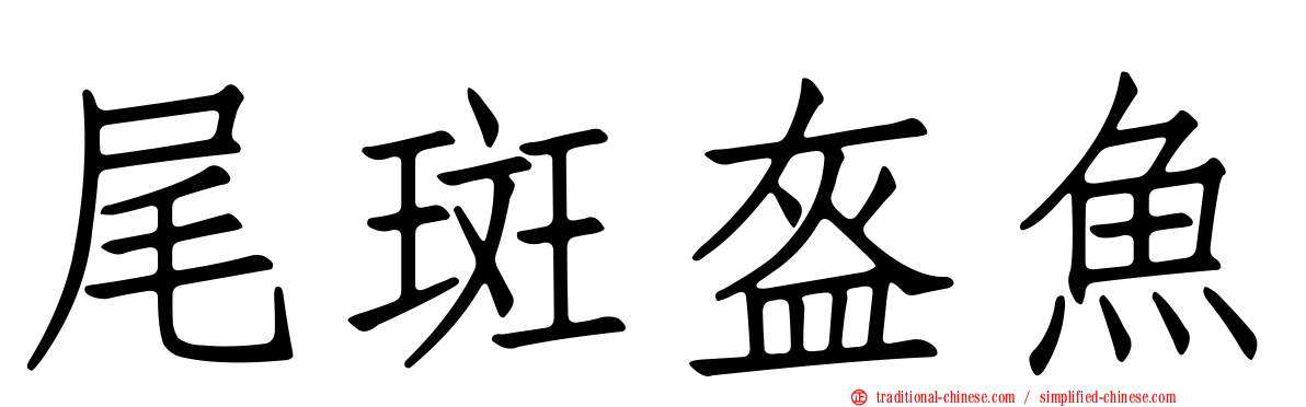 尾斑盔魚