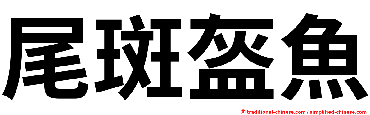 尾斑盔魚