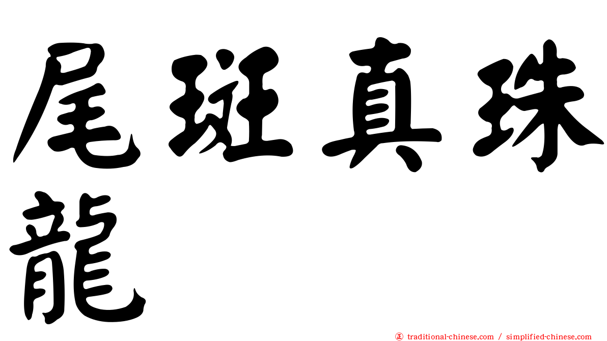 尾斑真珠龍