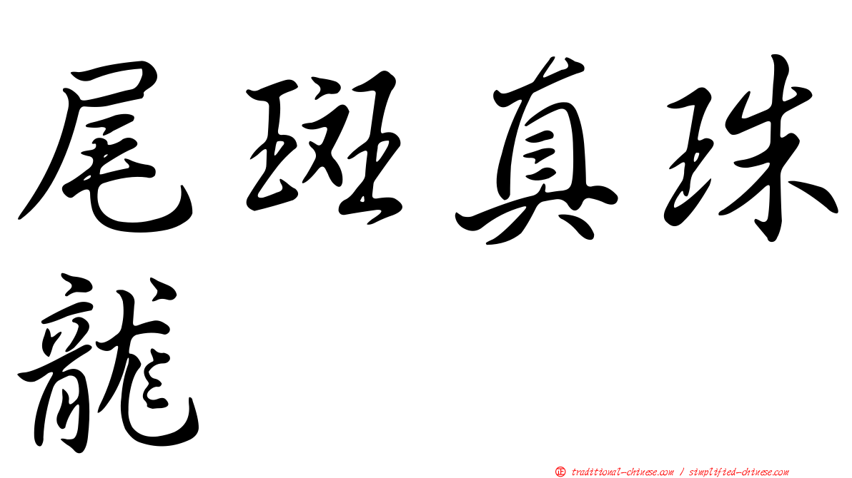 尾斑真珠龍