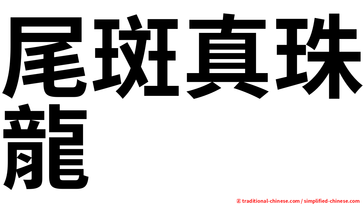 尾斑真珠龍