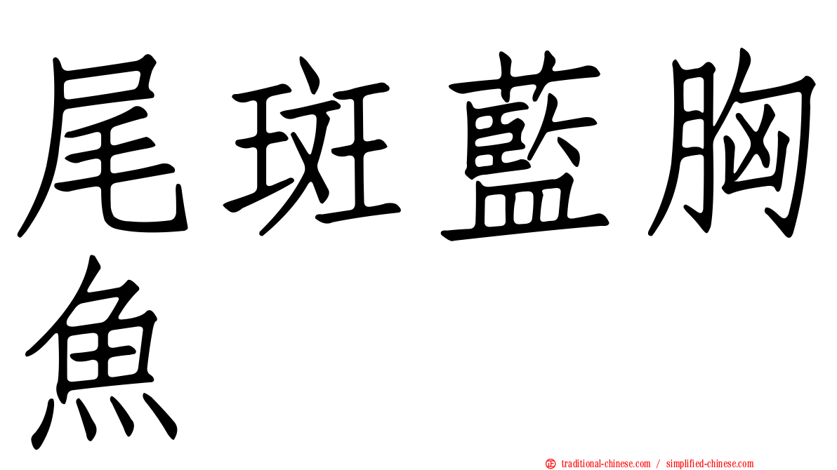 尾斑藍胸魚