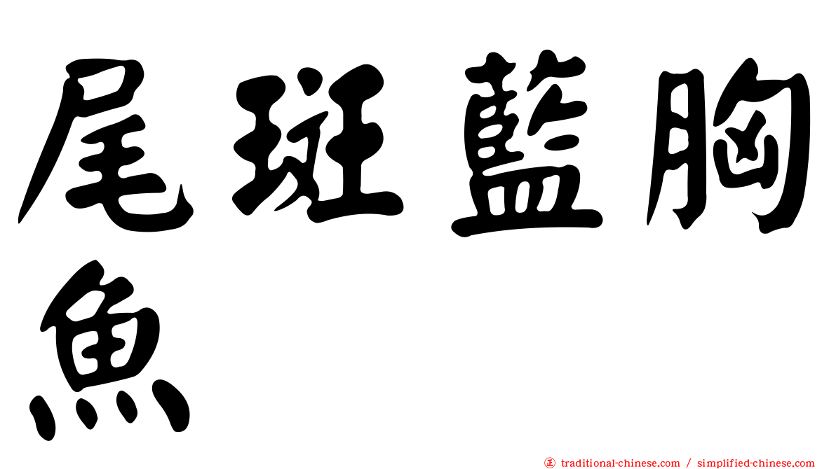 尾斑藍胸魚