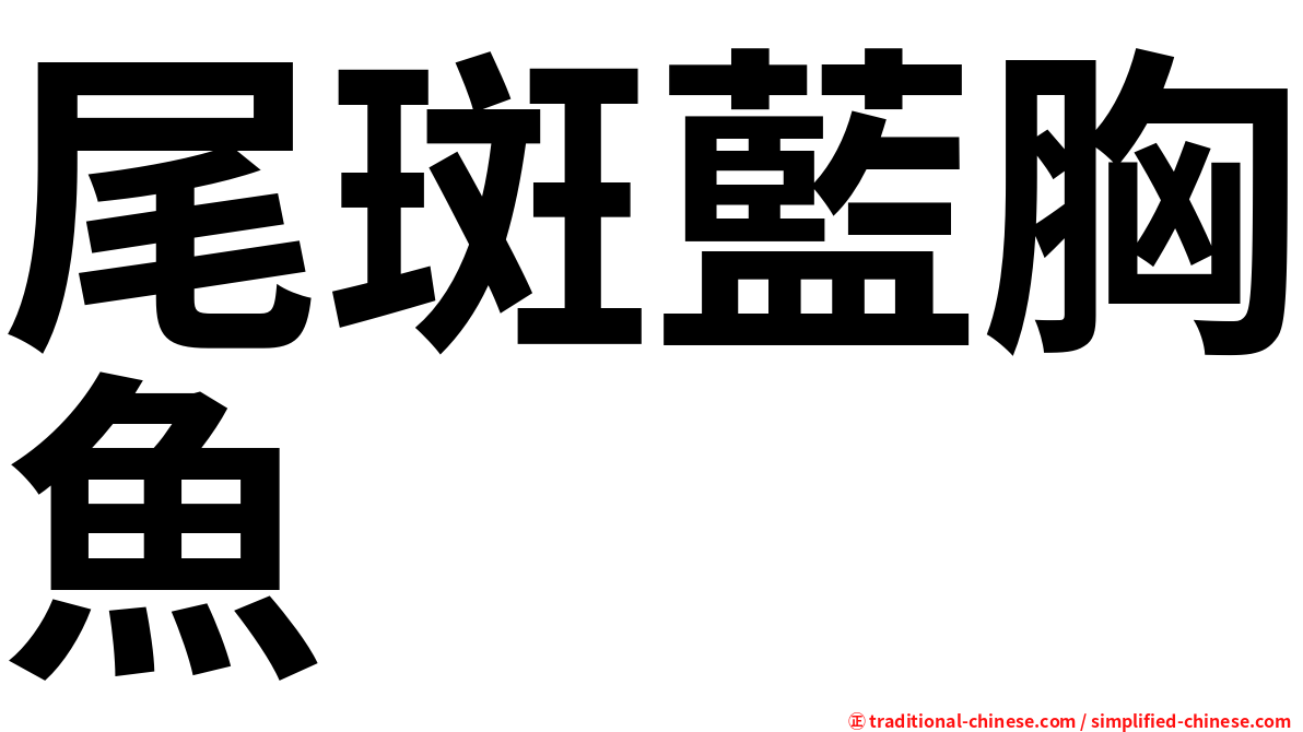 尾斑藍胸魚