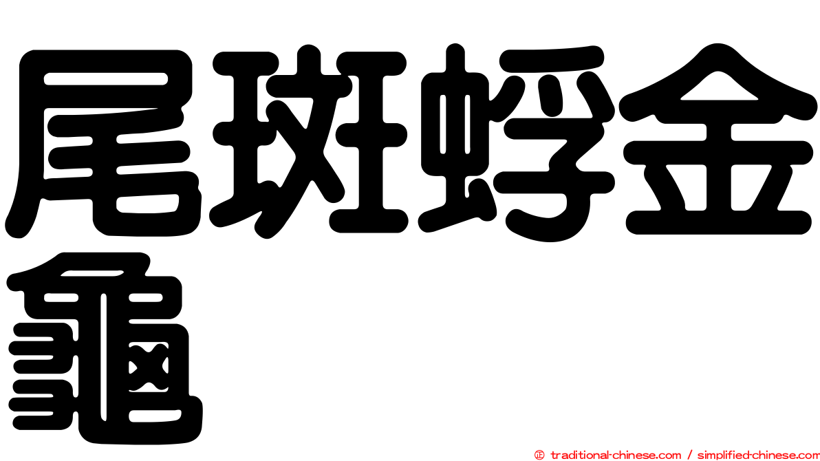 尾斑蜉金龜