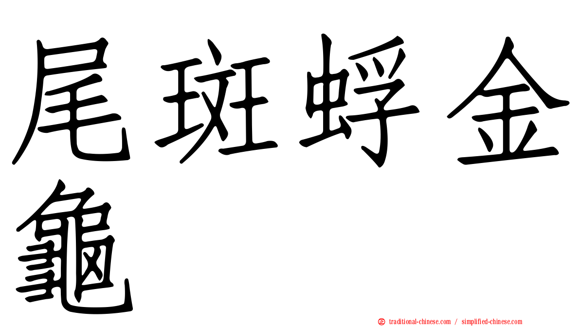 尾斑蜉金龜