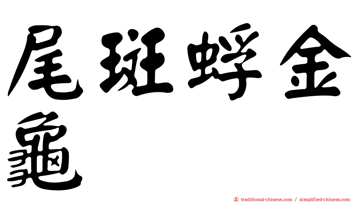 尾斑蜉金龜