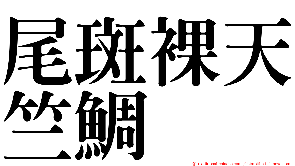 尾斑裸天竺鯛