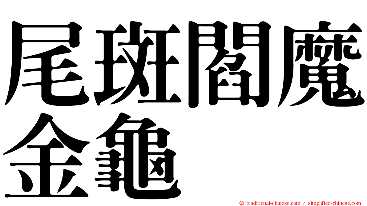 尾斑閻魔金龜