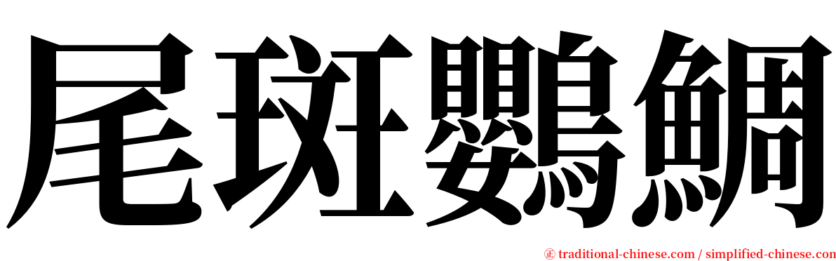 尾斑鸚鯛 serif font