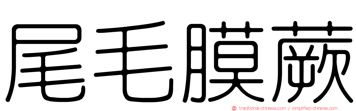 尾毛膜蕨