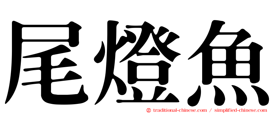 尾燈魚