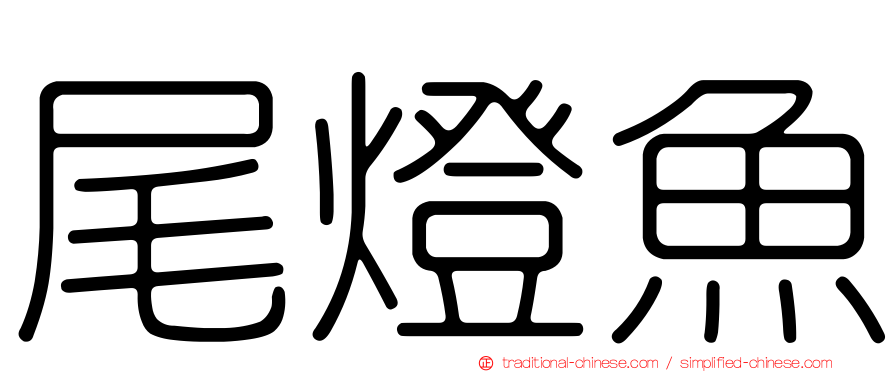尾燈魚
