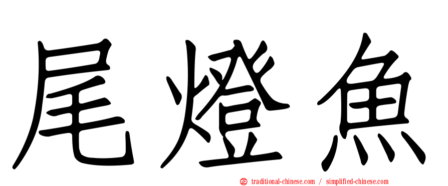 尾燈魚