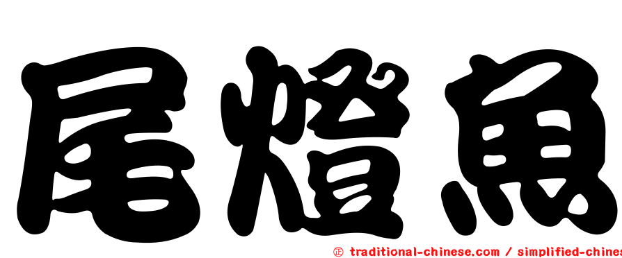 尾燈魚