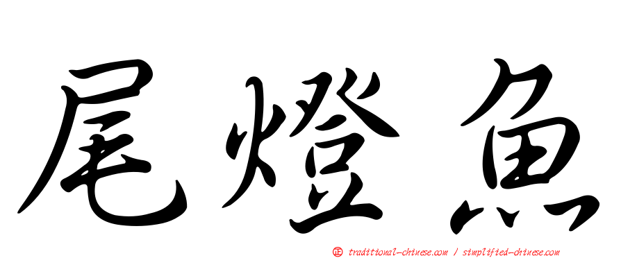 尾燈魚