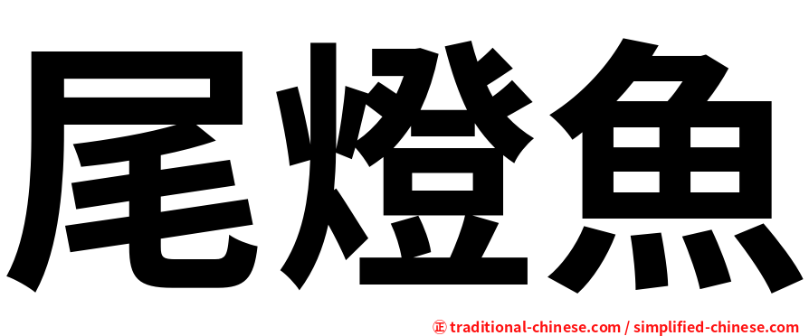 尾燈魚