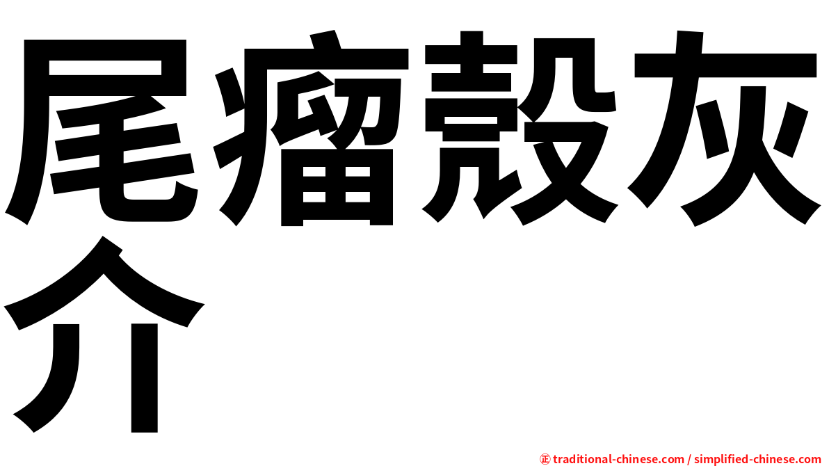 尾瘤殼灰介