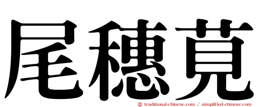 尾穗莧