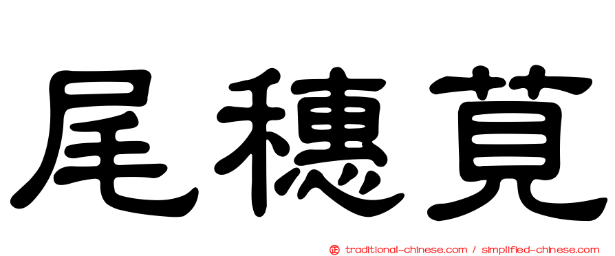 尾穗莧