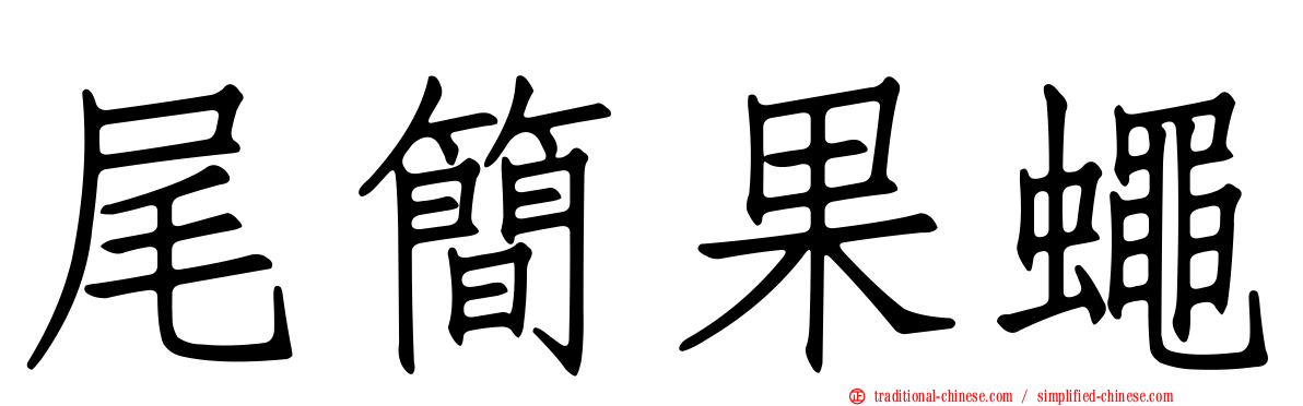 尾簡果蠅