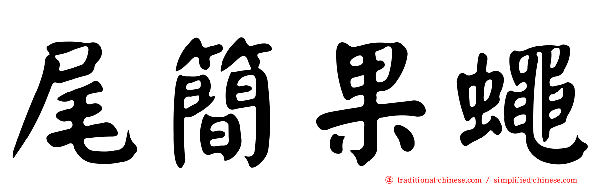 尾簡果蠅