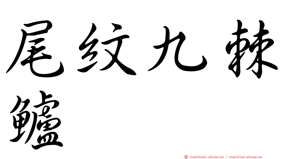 尾紋九棘鱸