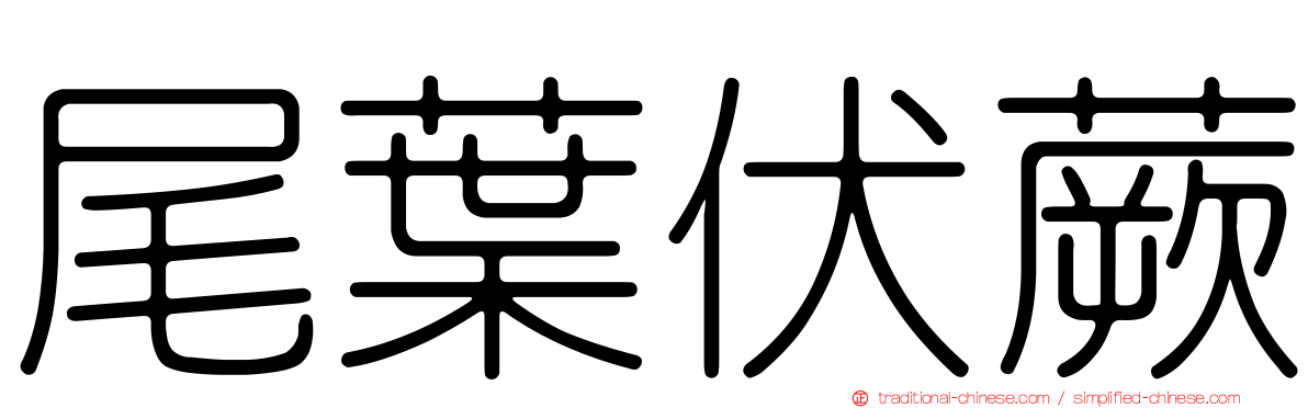 尾葉伏蕨