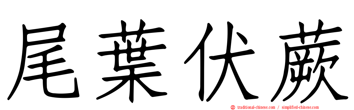 尾葉伏蕨