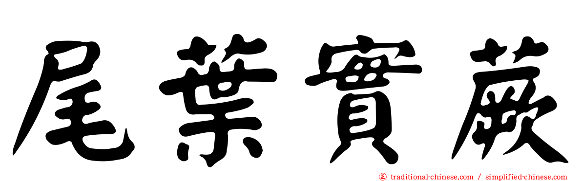 尾葉實蕨
