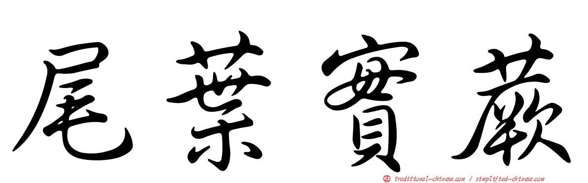 尾葉實蕨