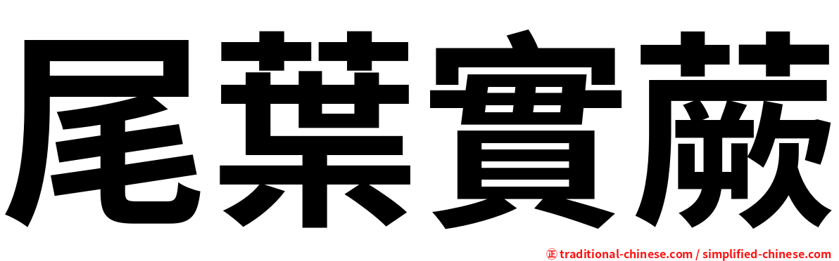 尾葉實蕨