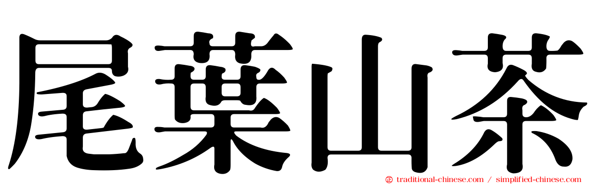 尾葉山茶