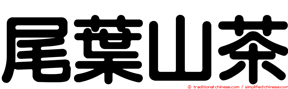 尾葉山茶