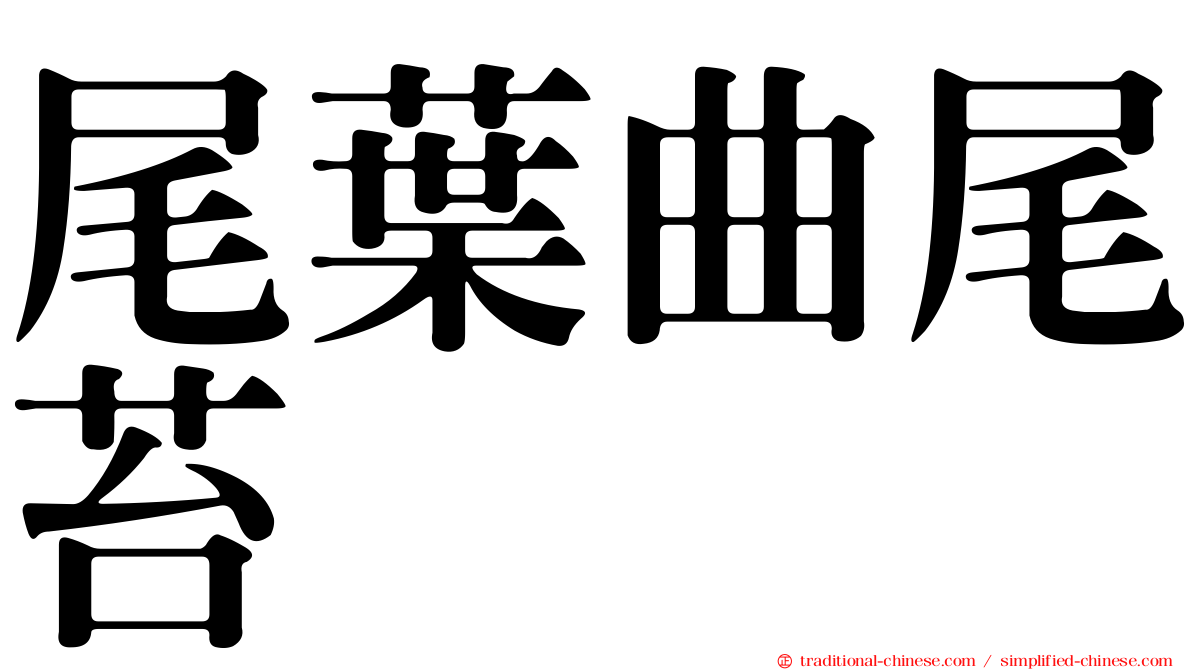 尾葉曲尾苔