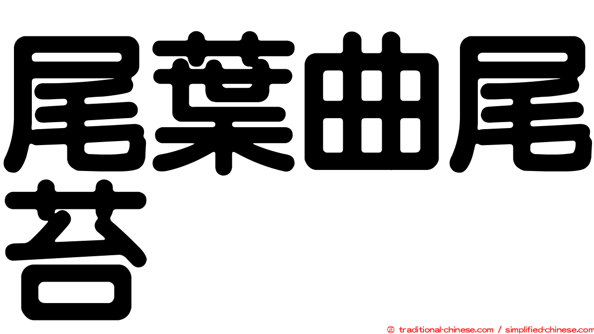 尾葉曲尾苔