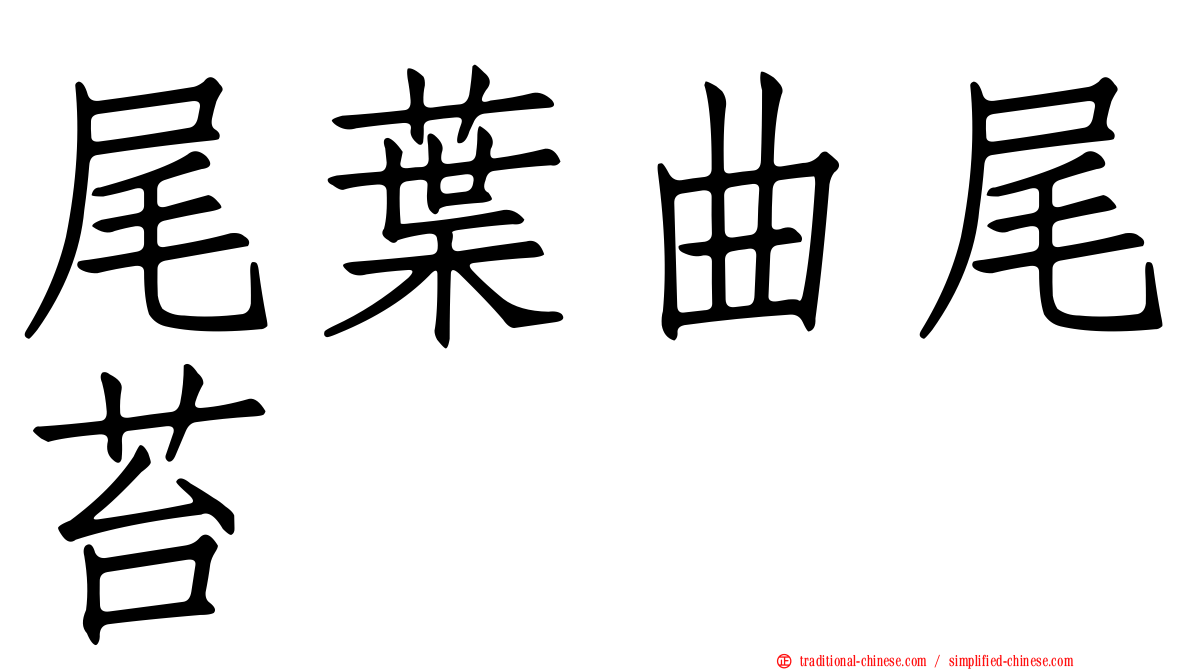 尾葉曲尾苔