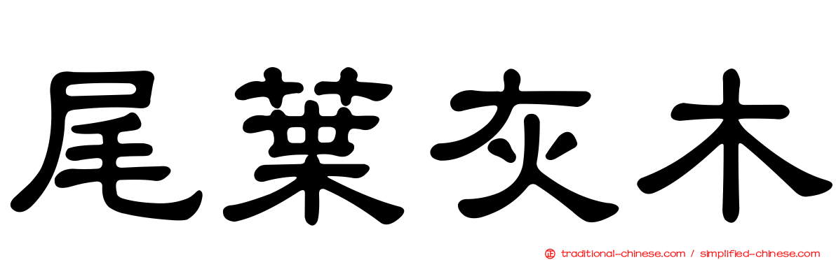 尾葉灰木