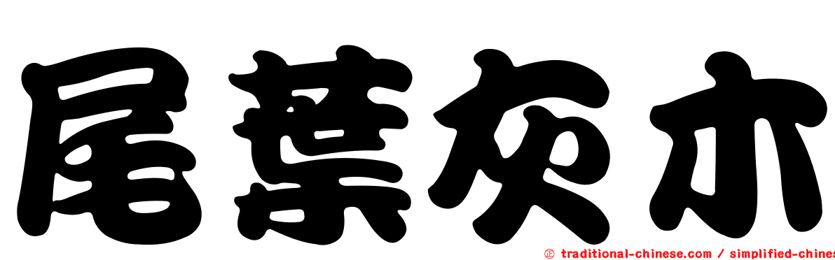 尾葉灰木