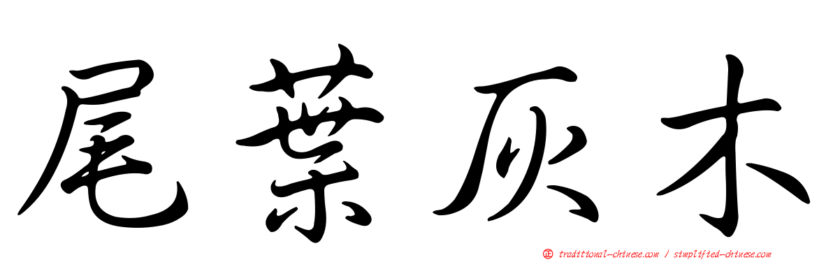 尾葉灰木