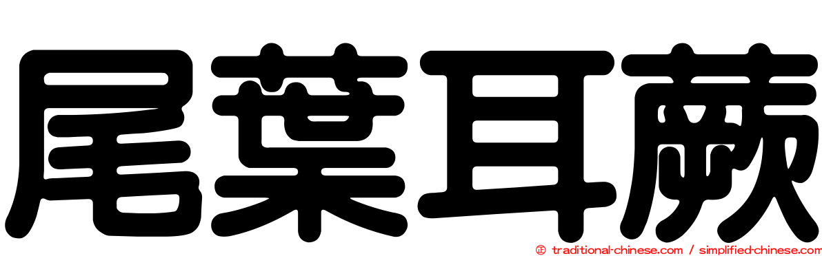 尾葉耳蕨