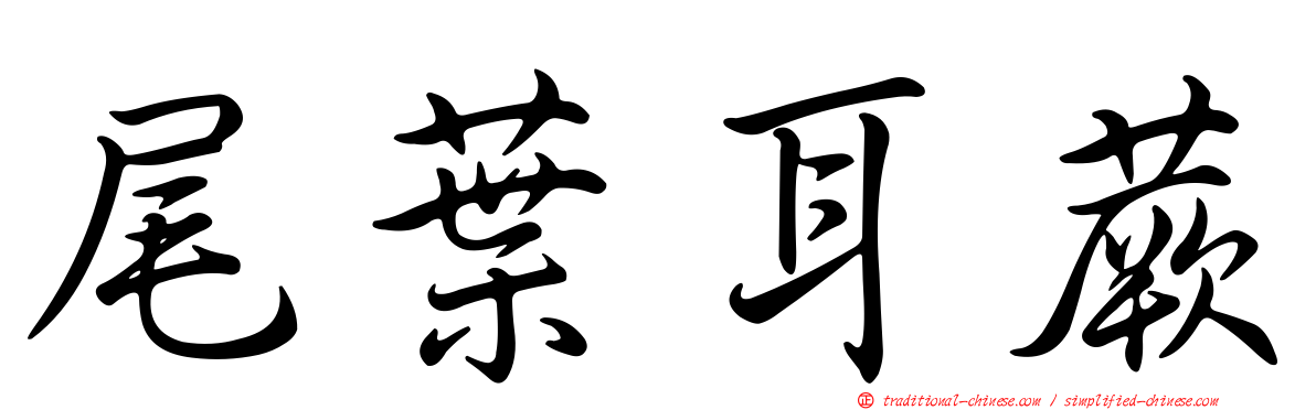 尾葉耳蕨