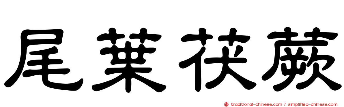 尾葉茯蕨