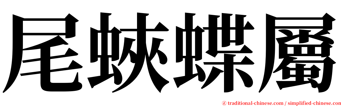 尾蛺蝶屬 serif font