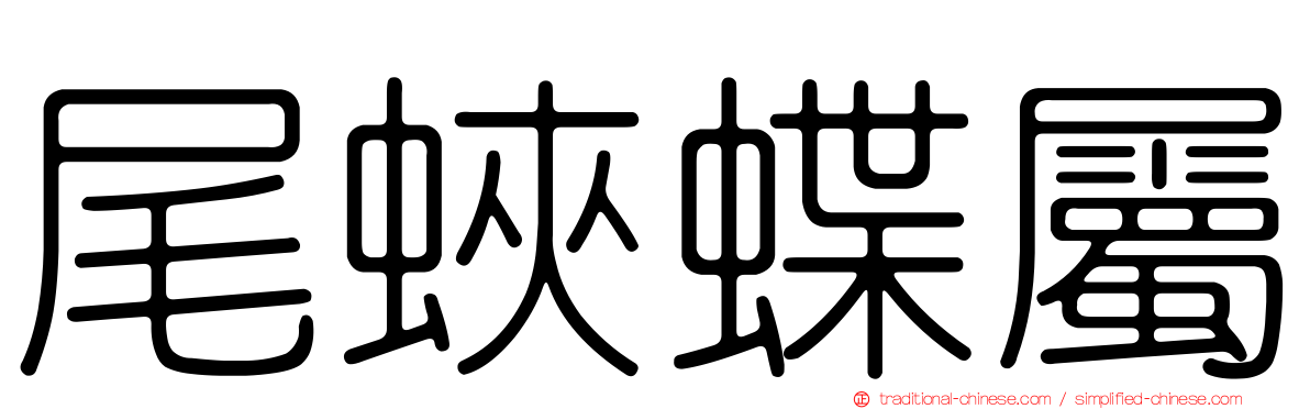 尾蛺蝶屬